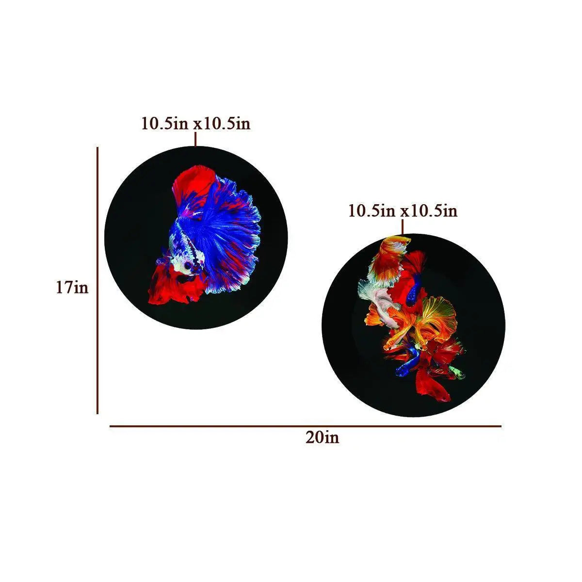 Decorative Wall Plates With Colorful Fish Art Round Shape, Wall Hanging.