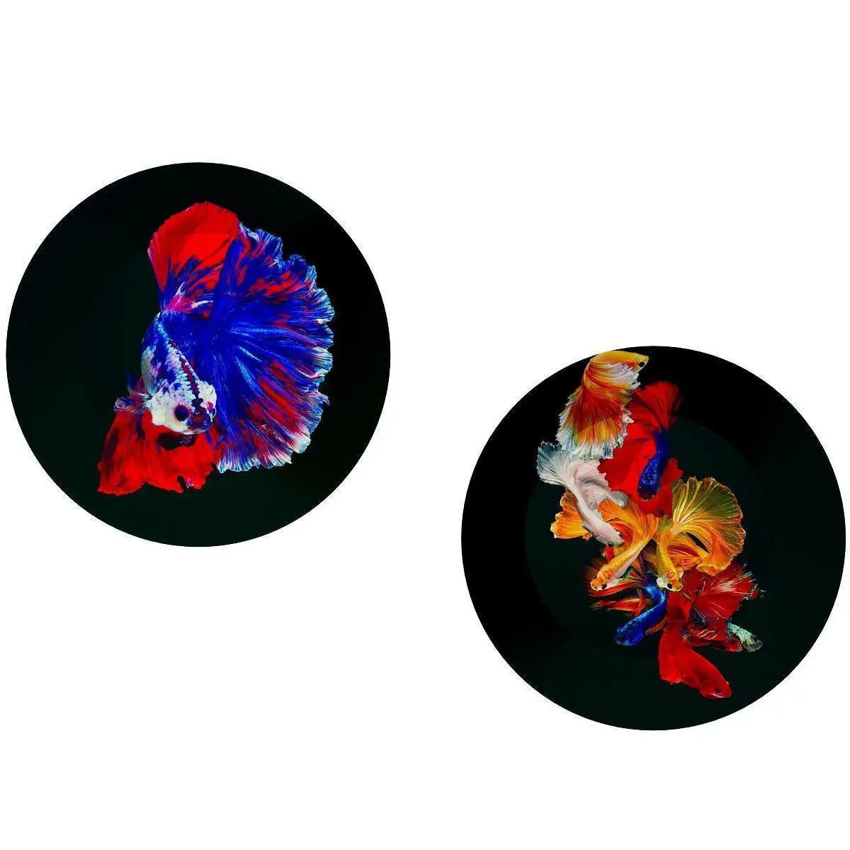 Decorative Wall Plates With Colorful Fish Art Round Shape, Wall Hanging.